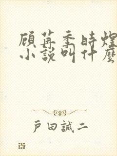 顾苒季时煜电竞小说叫什么名字