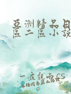 亚洲精品日韩一区二区小说