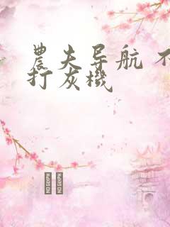 农夫导航 不准打灰机