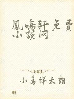 凤鸣轩免费言情小说网