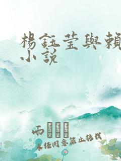 杨钰莹与赖昌星小说