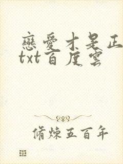 恋爱才是正经事txt百度云