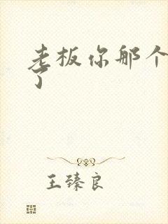 老板你那个太长了