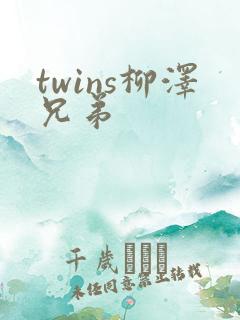 twins柳泽兄弟
