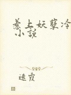 惹上妖孽冷殿下 小说