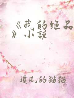 《我的绝品韵母》小说