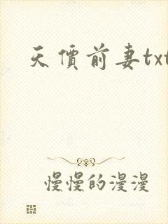 天价前妻txt