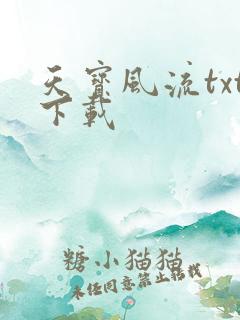 天宝风流txt下载