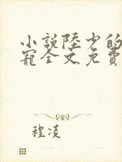 小说陆少的心尖宠全文免费阅读