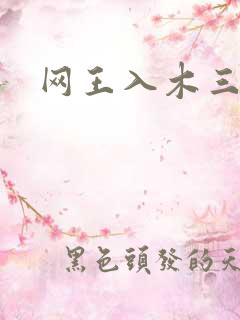 网王入木三分