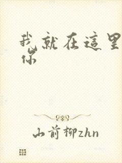 我就在这里要了你