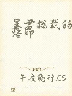 暴君总裁的狂烈烙印