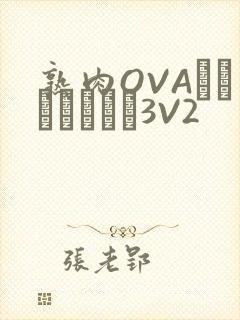 熟肉OVAちゃんはしたい3V2