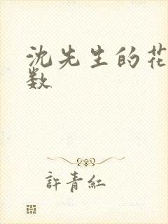 沈先生的花式调数