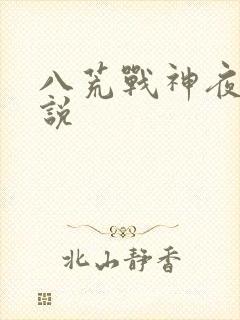 八荒战神夜麟小说