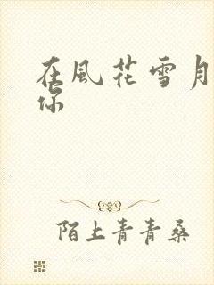 在风花雪月里等你