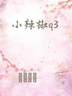 小辣椒q3