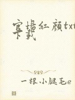 官场红颜txt下载