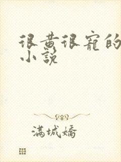 很黄很宠的总裁小说