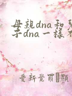 母亲dna和儿子dna一样不