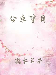 公车宝贝