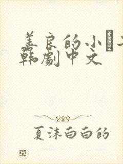 善良的小峓子2韩剧中文