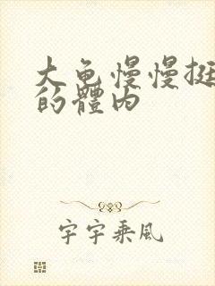 大龟慢慢挺进我的体内