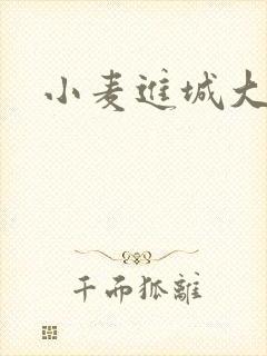 小麦进城大结局