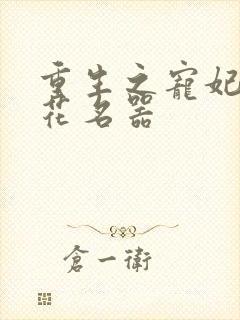 重生之宠妃白莲花名器