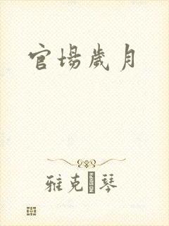 官场岁月