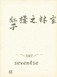 红楼之林家庶长子