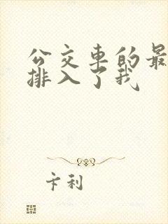 公交车的最后一排入了我