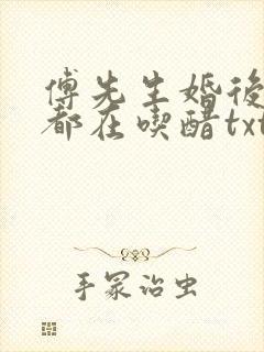 傅先生婚后每天都在吃醋txt