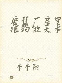 废旧厂房里和流浪狗做天本