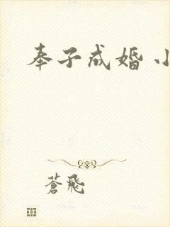 奉子成婚 小说