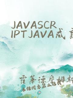 JAVASCRIPTJAVA成熟亲子