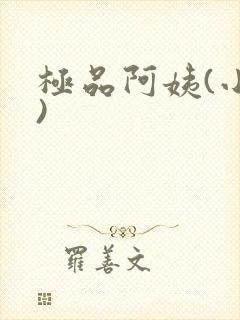 极品阿姨(小说)