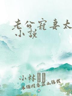 老公宠妻太甜蜜 小说