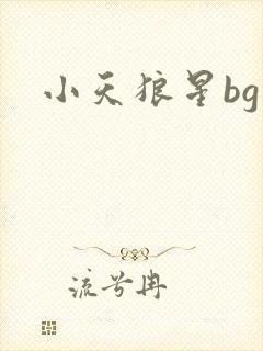 小天狼星bg