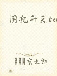 困龙升天txt