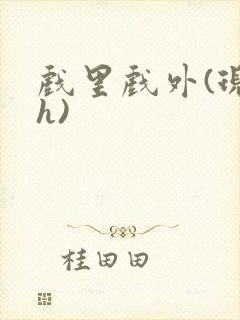 戏里戏外(现场h)