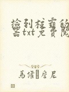 捡到校霸的遥控器txt免费阅读