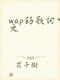 wap的歌词中文