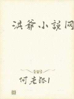 洪爷小说网