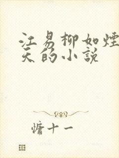 江易柳如烟秦少天的小说