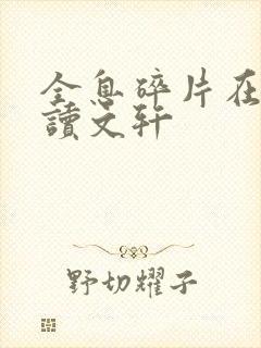 全息碎片在线阅读文轩