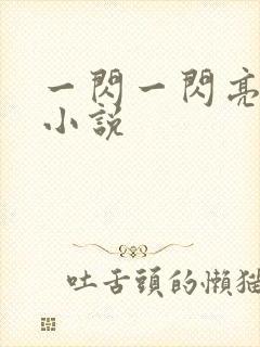 一闪一闪亮星星小说