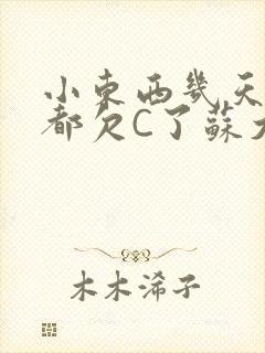 小东西几天没做都欠C了苏大深