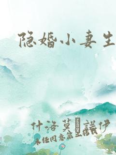 隐婚小妻生个娃