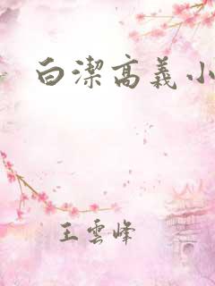 白洁高义小说